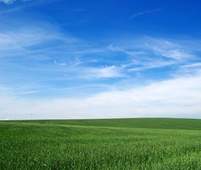 green field and blue sky