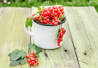 red currants in mug on green table
