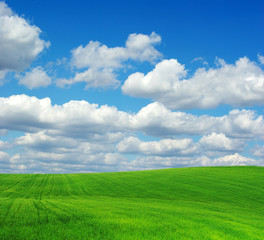 green field and blue sky
