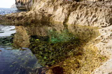 Korallen am Azure Window