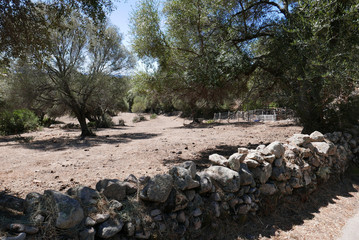 s&eacute;jour en Corse