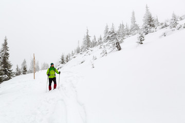 Fototapeta na wymiar Winter hike in white woods when snowing