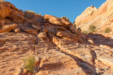 White Domes - Valley of Fire