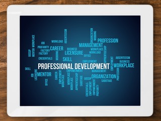 Professional development