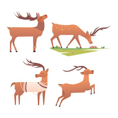 Cartoon deer vector animal
