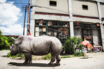 Urban Jungle Rhino and Flamingo. Rhino and flamingo standing in the street of an abandoned urban neighborhood.