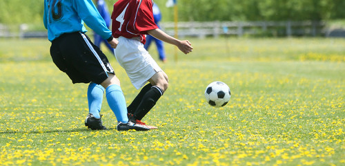 Fototapeta premium サッカー フットボール