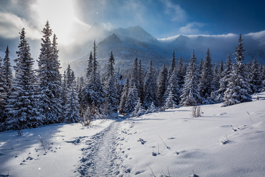 Enjoy your winter journey to Tatras Mountains in Poland