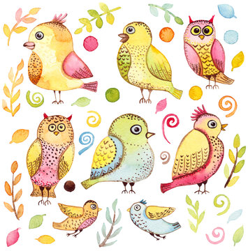 Set with Watercolor Funny Birds, Leaves and Elements