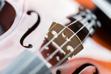 violins background