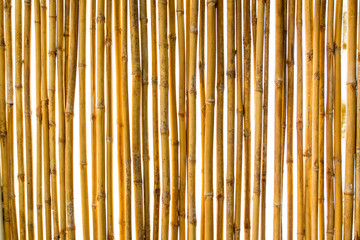 Bamboo fence close up background.