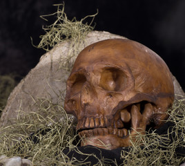 Closeup of a Scary Human Skull Against a Headstone
