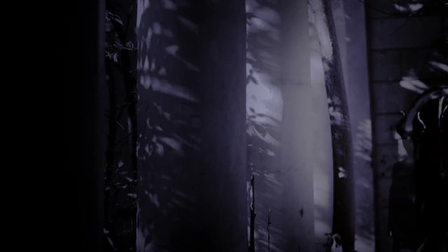horned witch ghost walks through the ruins of the castle. halloween Horror