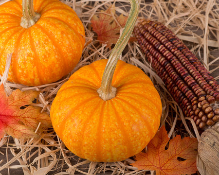 Closeup of Pumpkins and Indian Corn on a Straw Covered Surface