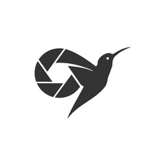 Hummingbird photography logo design