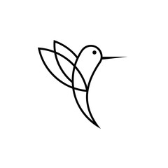 Hummingbird logo design