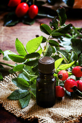 Cosmetic rosehip oil, rustic style, selective focus