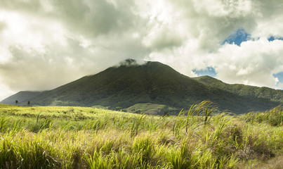 Mt Liamuiga on St Kitts, Caribbean.