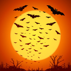 Black vector bats silhouettes on big yellow moon at orange background