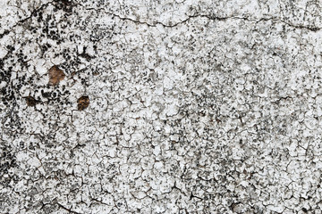 white concrete wall texture