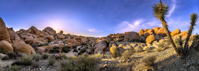 Dry desert at Joshoua Tree National Park showing effects of global warming and climate change