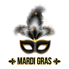 Black Mardi Gras vector carnival mask with feathers