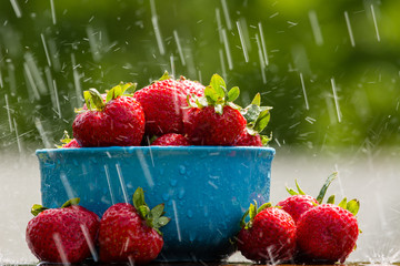 strawberry rain