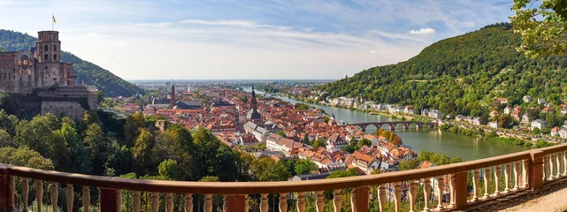 Panorama Heidelberg am Neckar © Manuel Schönfeld