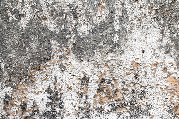 white concrete wall texture