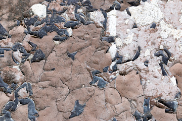 white concrete wall texture