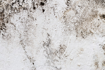 white concrete wall texture