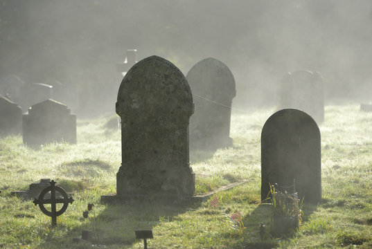 Misty graves