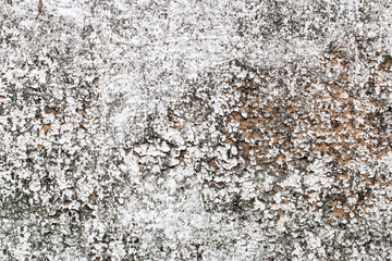 white concrete wall texture