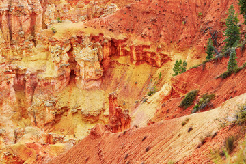 Red sandstone hoodoos in Bryce Canyon National Park in Utah, USA