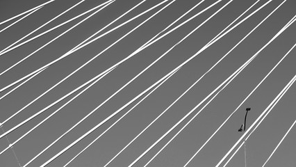 lines