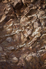 Abstract detail of exposed rock