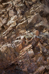 Abstract detail of exposed rock