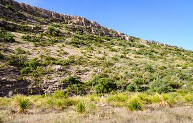 Carlsbad Caverns National Park