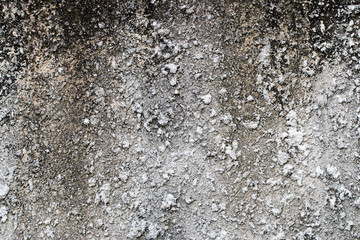 white concrete wall texture