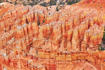 Red sandstone hoodoos in Bryce Canyon National Park in Utah, USA