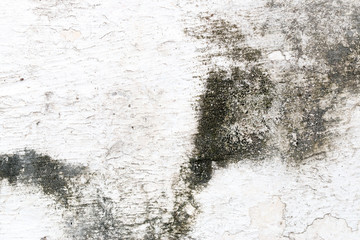 white concrete wall texture