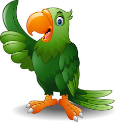 Cartoon happy parrot giving thumb up © ekyaky
