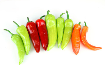 colorful farm picked fresh peppers isolated on white background