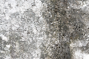 white concrete wall texture