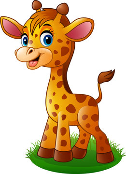 Cartoon baby giraffe

