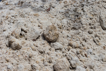Ground texture