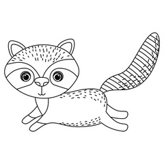 Raccoon icon. Animal cartoon and nature theme. Isolated and drawn design. Vector illustration