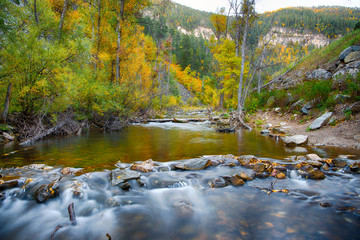 Peaceful stream