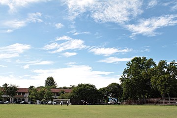 Education, back to school or sport concept : Sport field, football field or soccer field with blue sky background