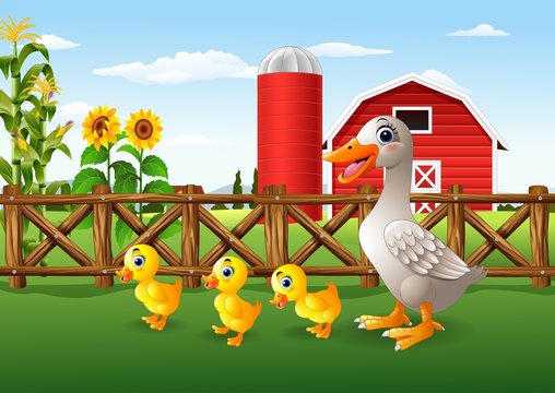 Cartoon duck family in the farm

